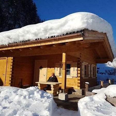 Chalet Sonnheim Lofer Bagian luar foto